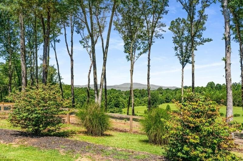 254 Nicholson Road Blue Ridge - 65