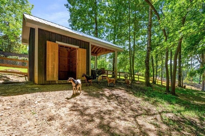 254 Nicholson Road Blue Ridge - 80