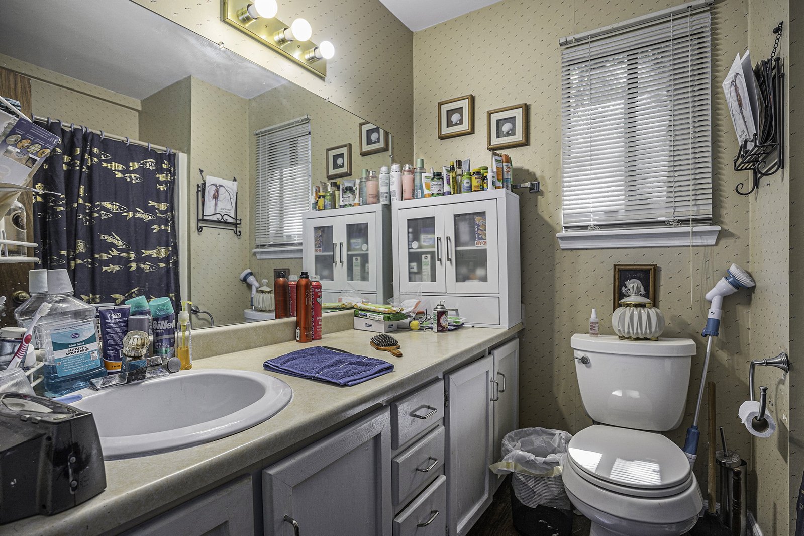 170 Dell Avenue Athens - 13