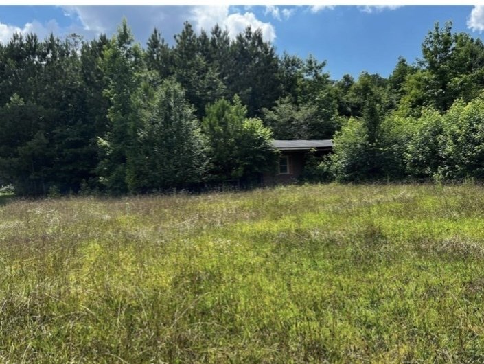11718 Brown Bridge Road Covington - 2
