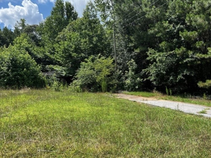 11718 Brown Bridge Road Covington - 3