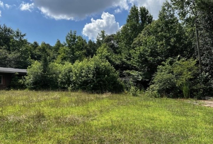 11718 Brown Bridge Road Covington - 4