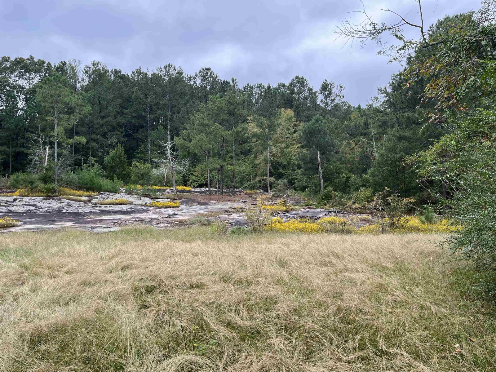 5297 Rock Springs Road Lithonia - 10