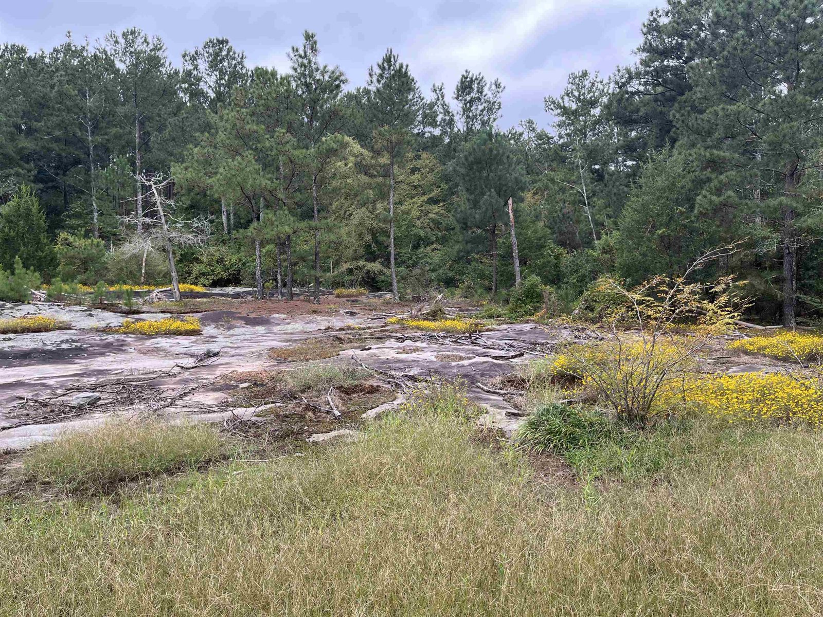 5297 Rock Springs Road Lithonia - 11