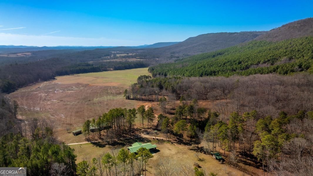 1324 Cooper Road Summerville - 1