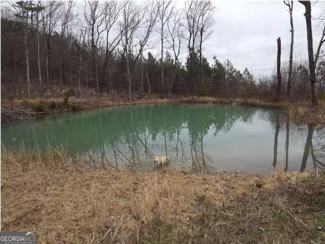 1324 Cooper Road Summerville - 2