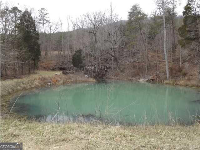 1324 Cooper Road Summerville - 3