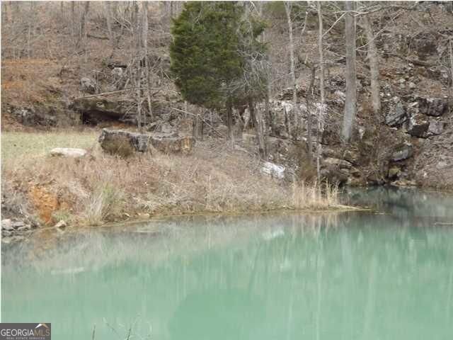 1324 Cooper Road Summerville - 4