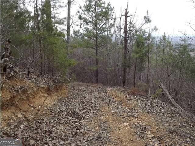 1324 Cooper Road Summerville - 5