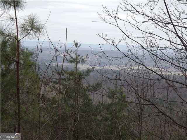 1324 Cooper Road Summerville - 6