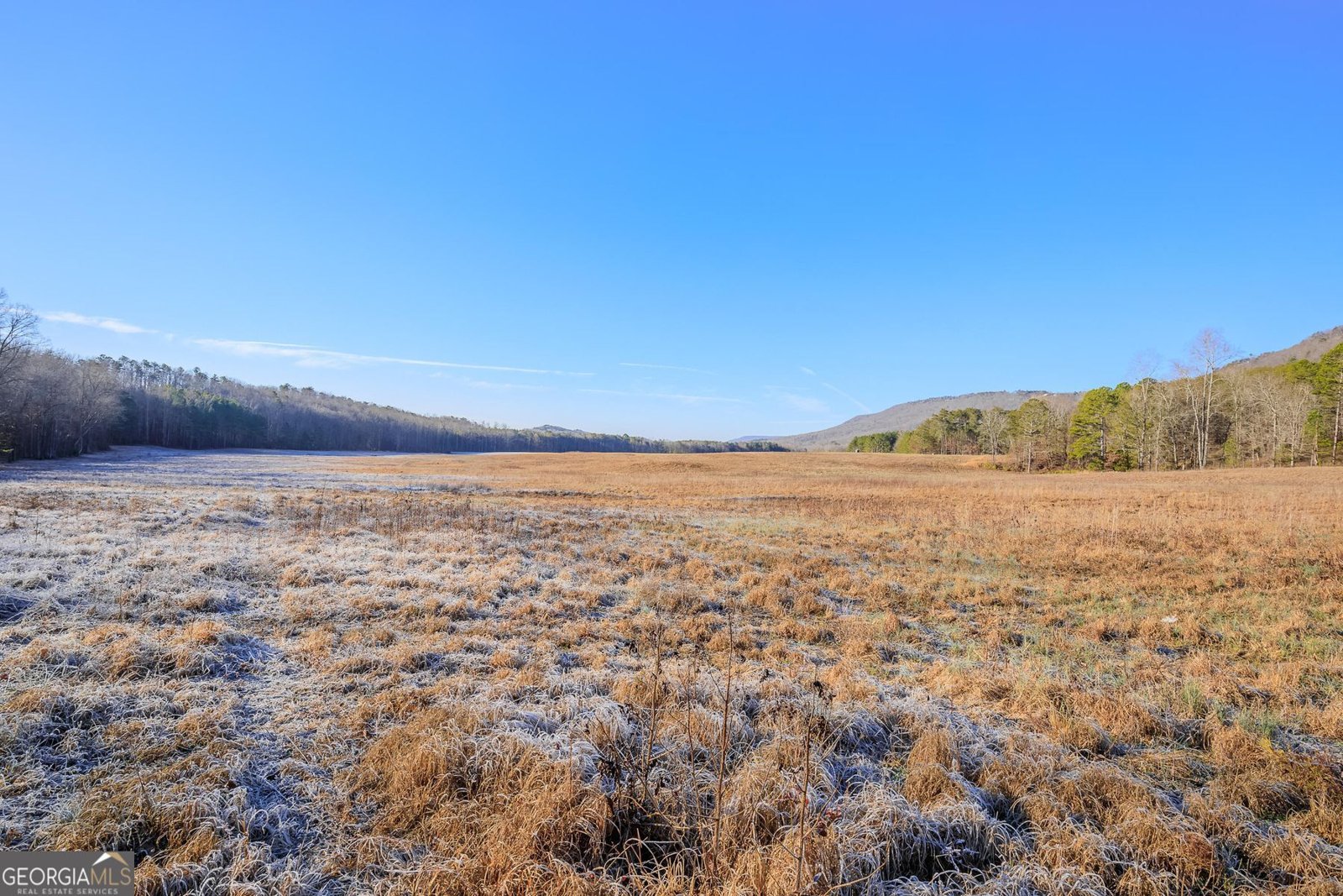 1324 Cooper Road Summerville - 61