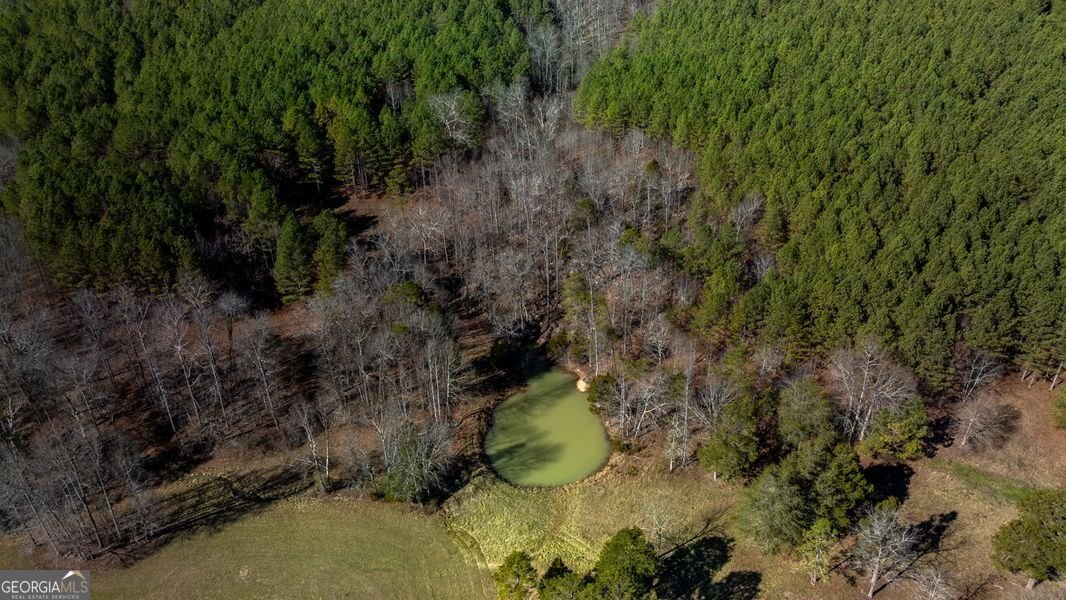 1324 Cooper Road Summerville - 65