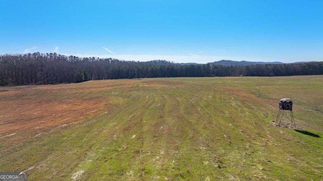 1324 Cooper Road Summerville - 69