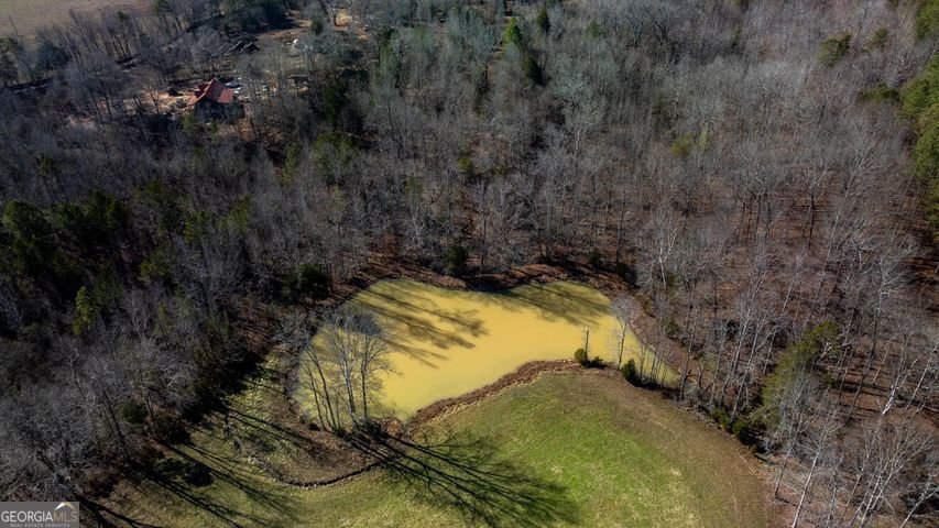 1324 Cooper Road Summerville - 81