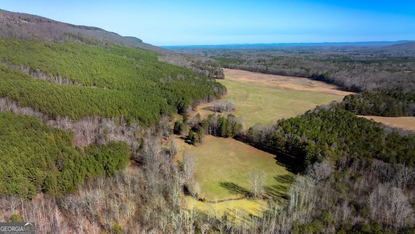 1324 Cooper Road Summerville - 87