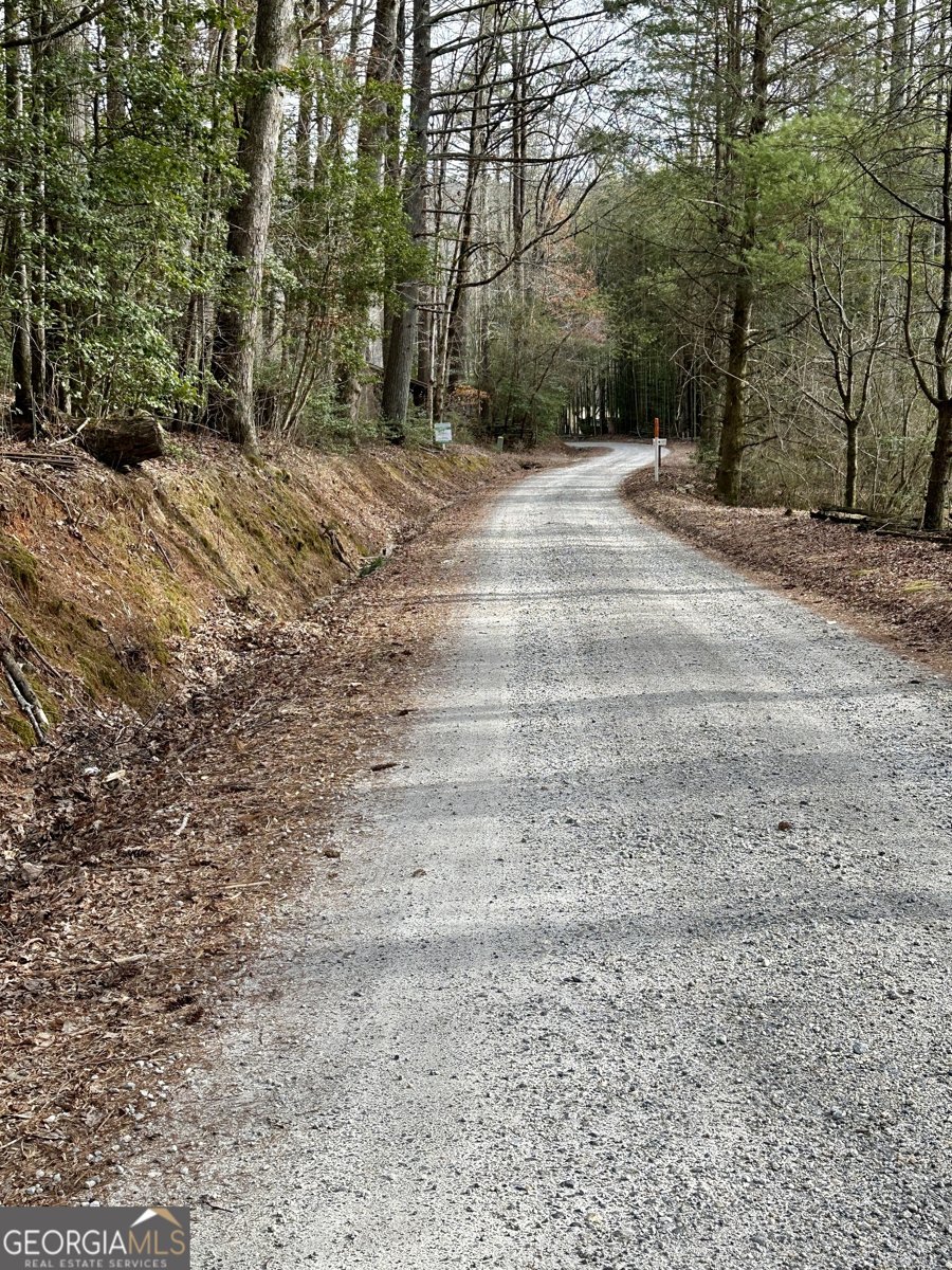 170 Henry Pittman Road Clarkesville - 19