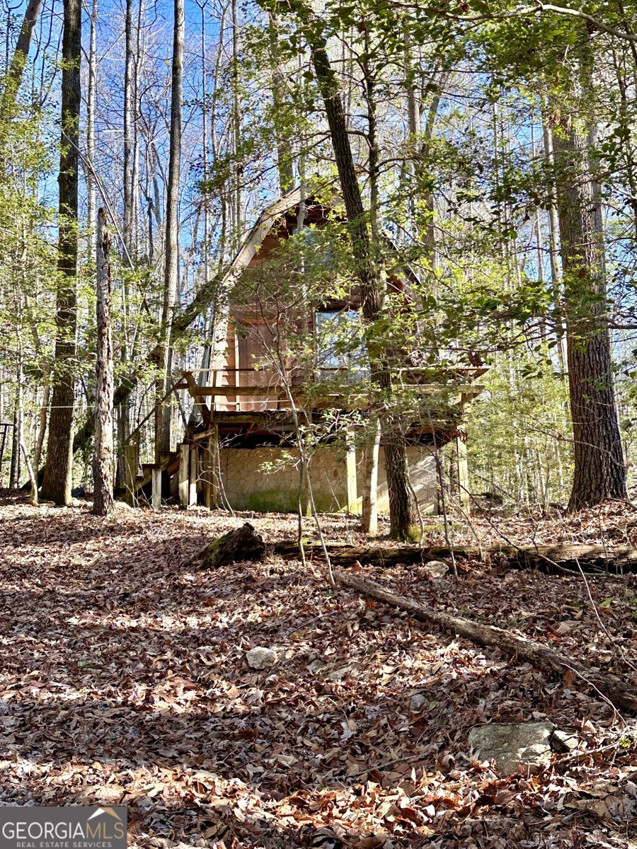 170 Henry Pittman Road Clarkesville - 20
