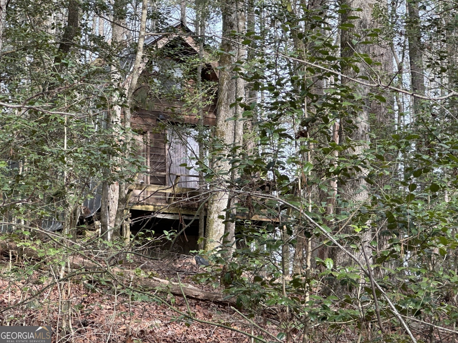 170 Henry Pittman Road Clarkesville - 21