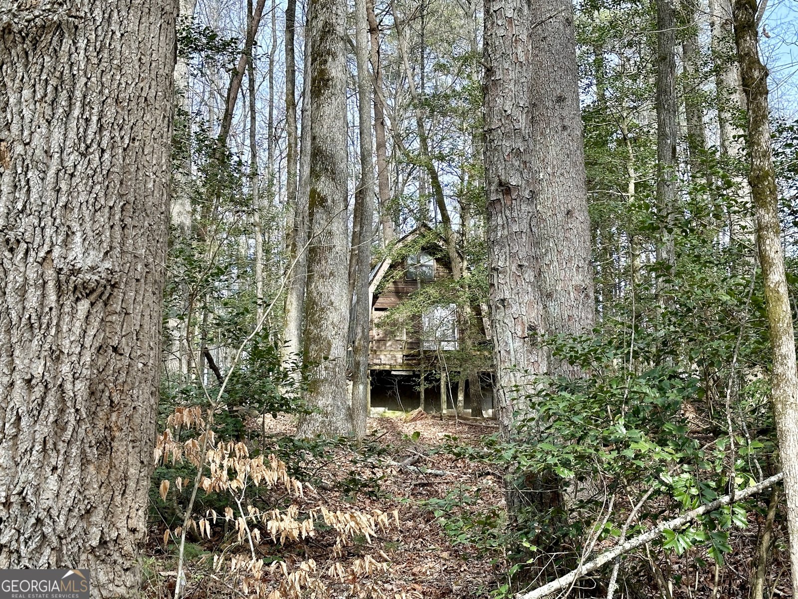 170 Henry Pittman Road Clarkesville - 22