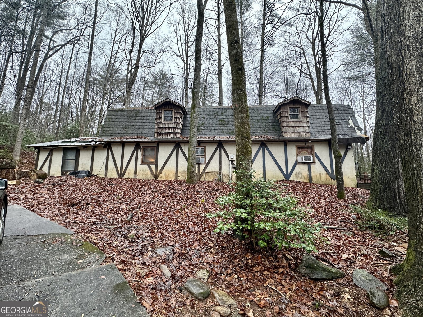 170 Henry Pittman Road Clarkesville - 8