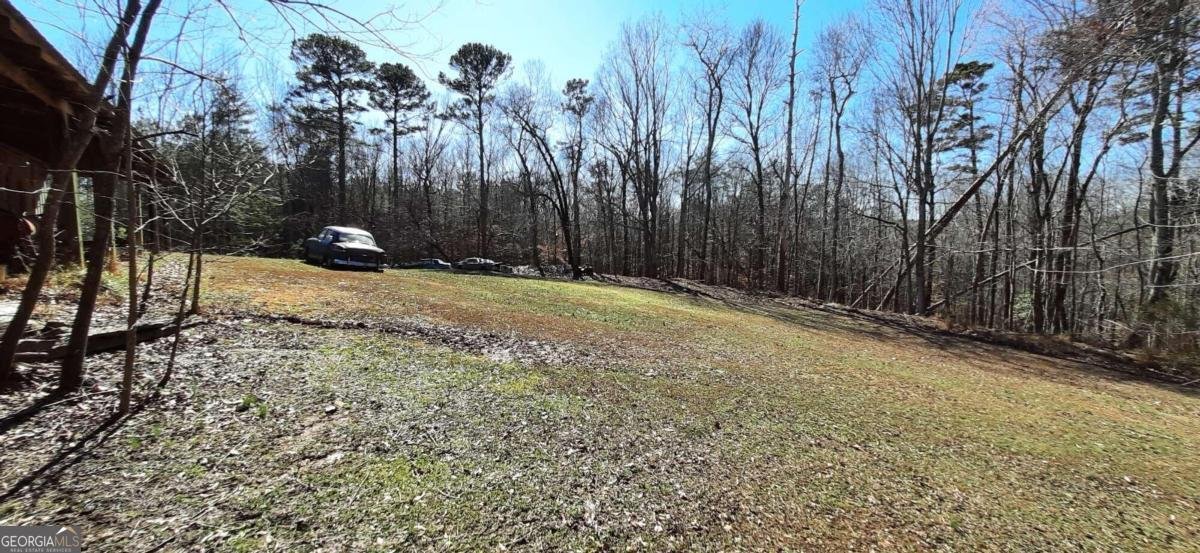 11953 Henderson Mountain Road Fairmount - 15