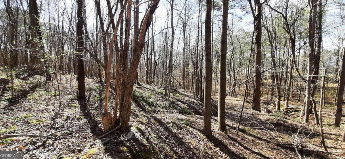 11953 Henderson Mountain Road Fairmount - 27