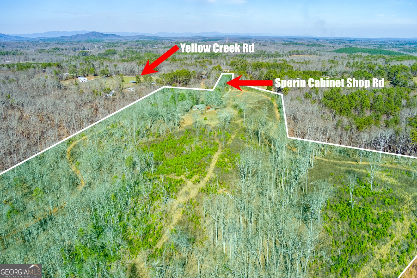 170 Sperin Cabinet Shop Road Ball Ground - 4