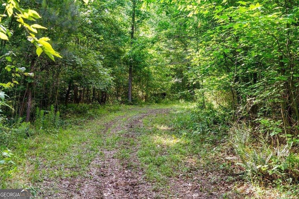 3143 Demooney Road College Park - 18