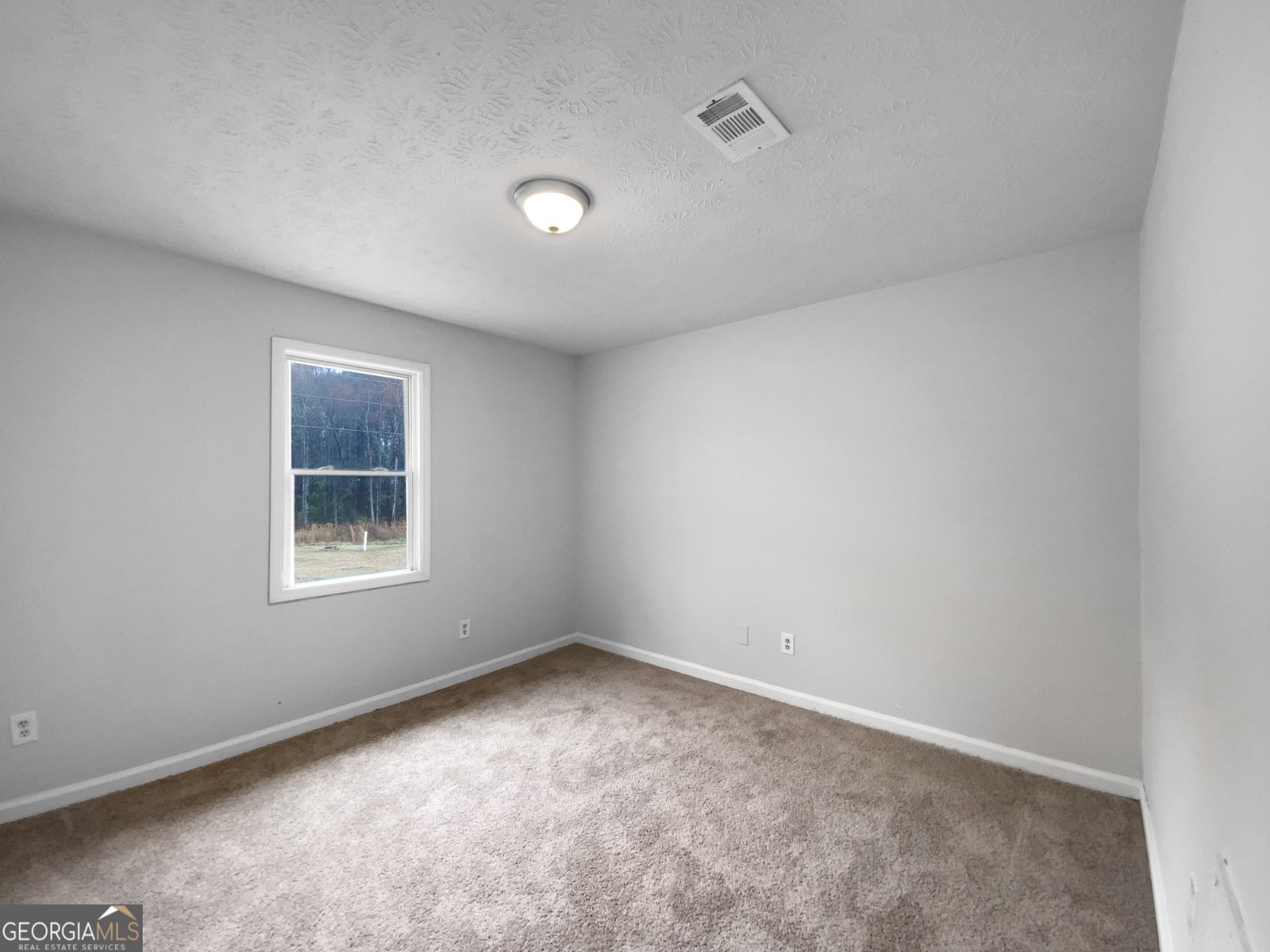 118 Mann Boulevard Stockbridge - 9