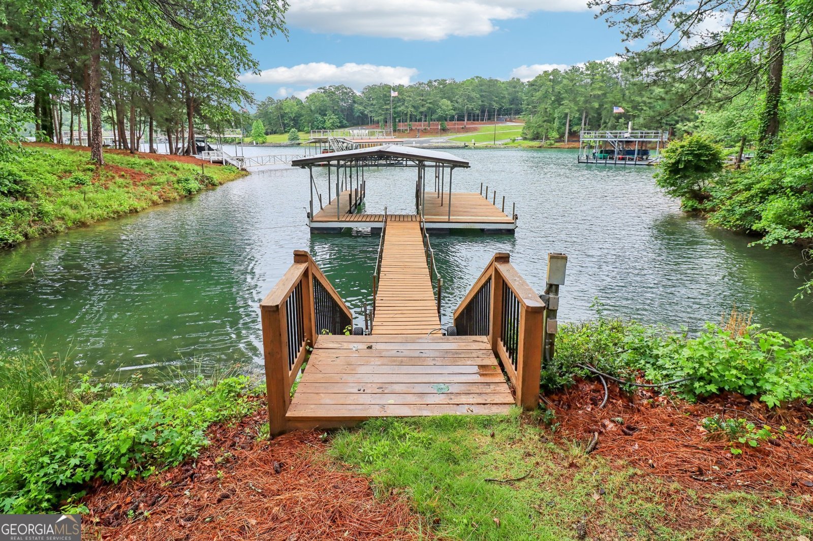 6219 Woodlake Drive Buford - 93