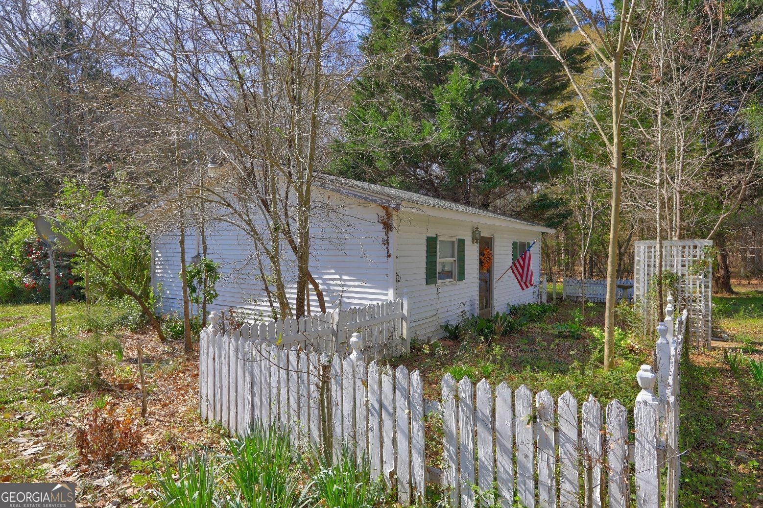 205 Highway 186 TRACT 1 Good Hope - 10