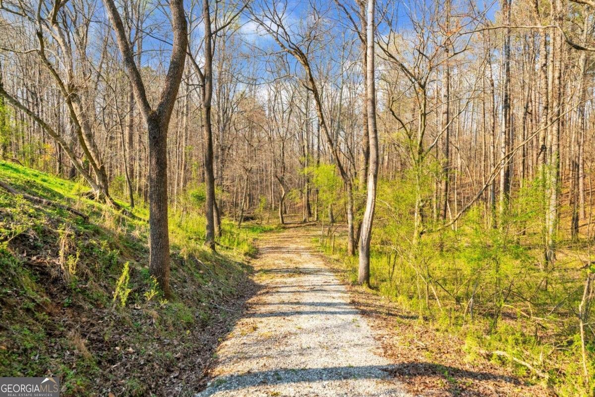 450 Pat Rich Drive Canton - 13