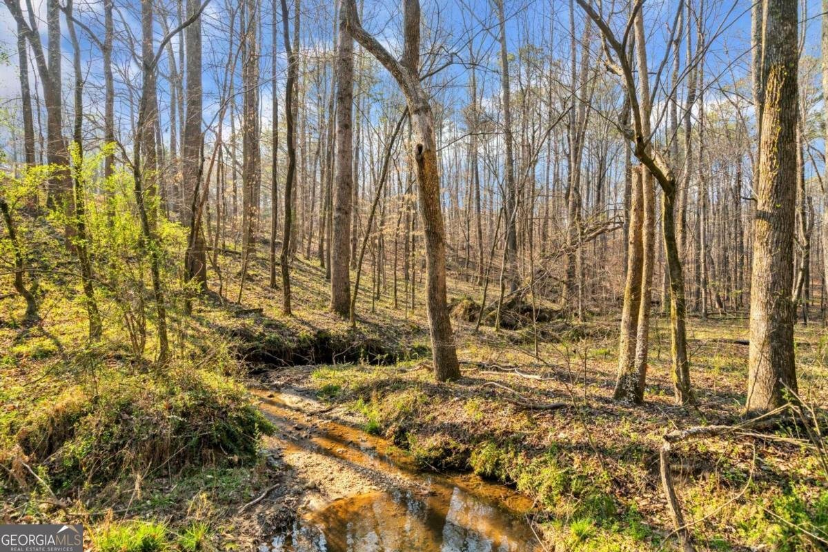 450 Pat Rich Drive Canton - 14