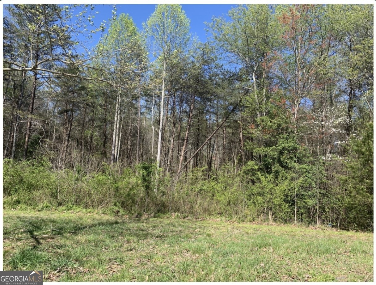 LOT 42 450 Beachwood Drive Cornelia - 8