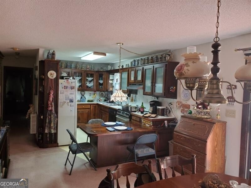 358 Gold Mine Road Dallas - 12