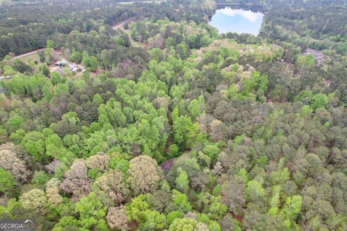 2421 Bethel Road Conyers - 2