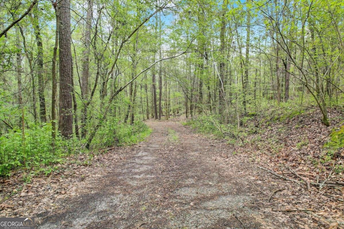 2421 Bethel Road Conyers - 22