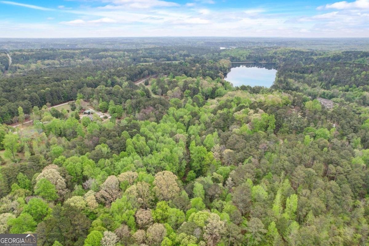2421 Bethel Road Conyers - 24
