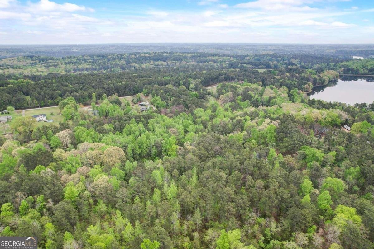 2421 Bethel Road Conyers - 25