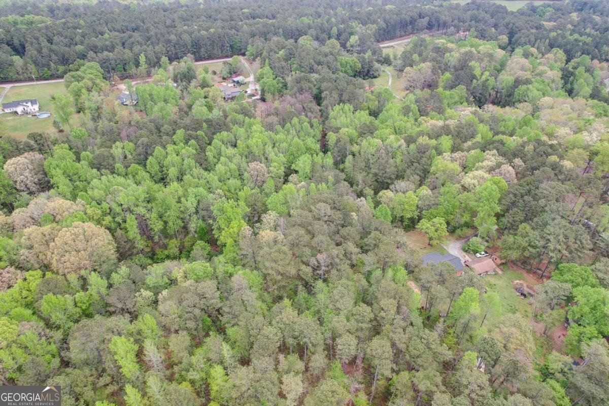 2421 Bethel Road Conyers - 26