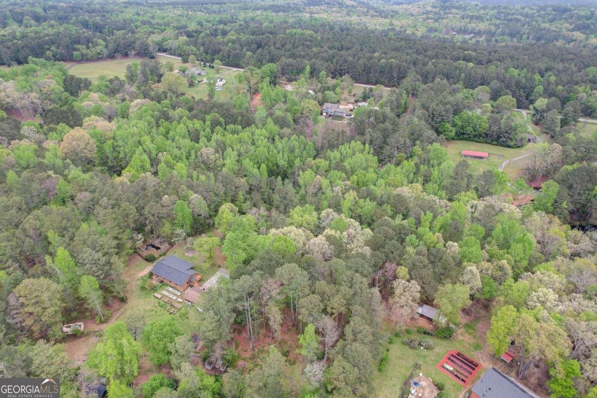 2421 Bethel Road Conyers - 27