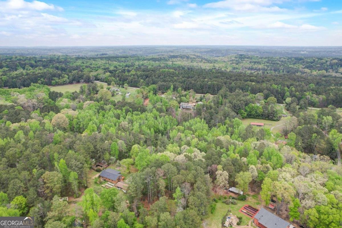 2421 Bethel Road Conyers - 28