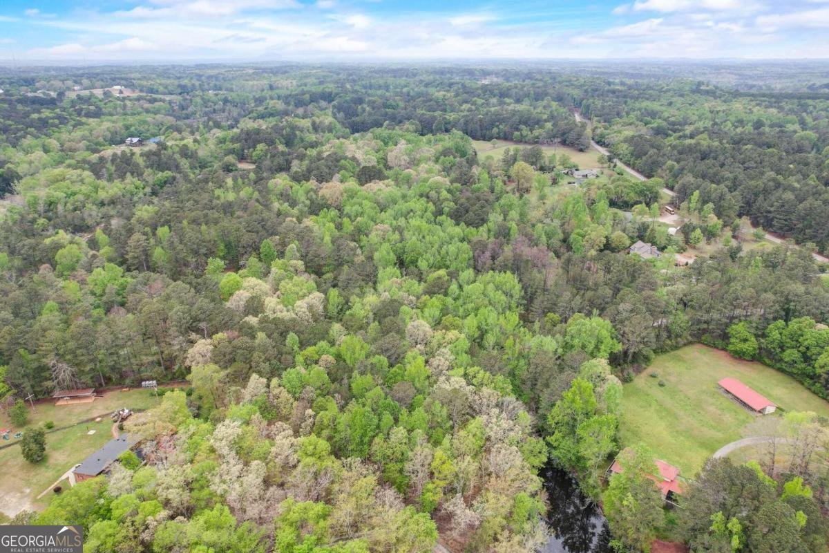 2421 Bethel Road Conyers - 29
