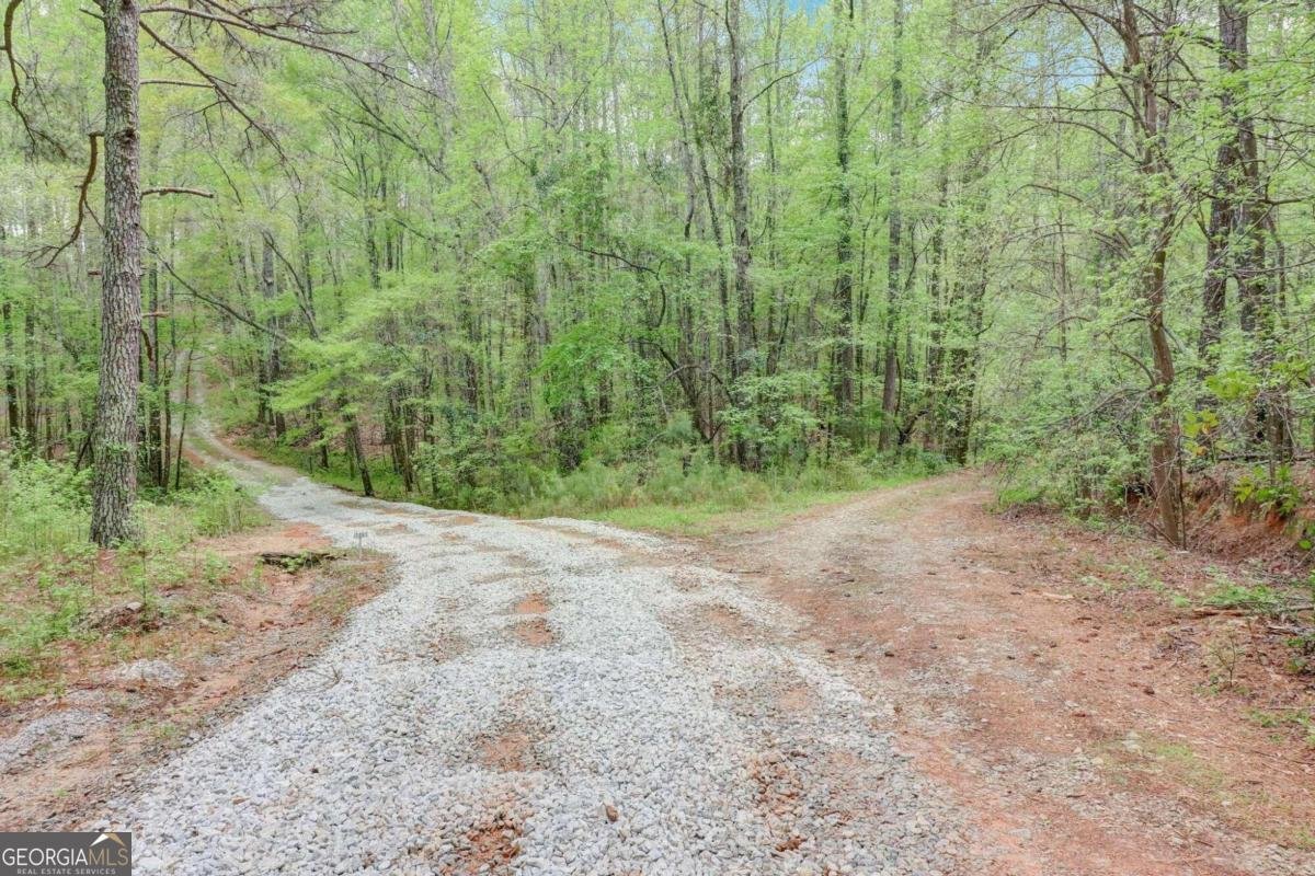 2421 Bethel Road Conyers - 5