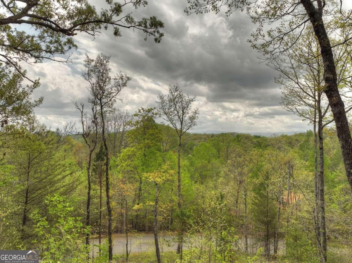25 Stuart Highland Drive Mineral Bluff - 2