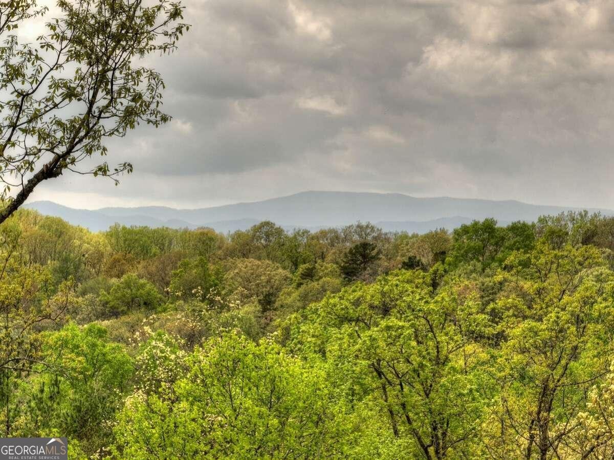 25 Stuart Highland Drive Mineral Bluff - 4