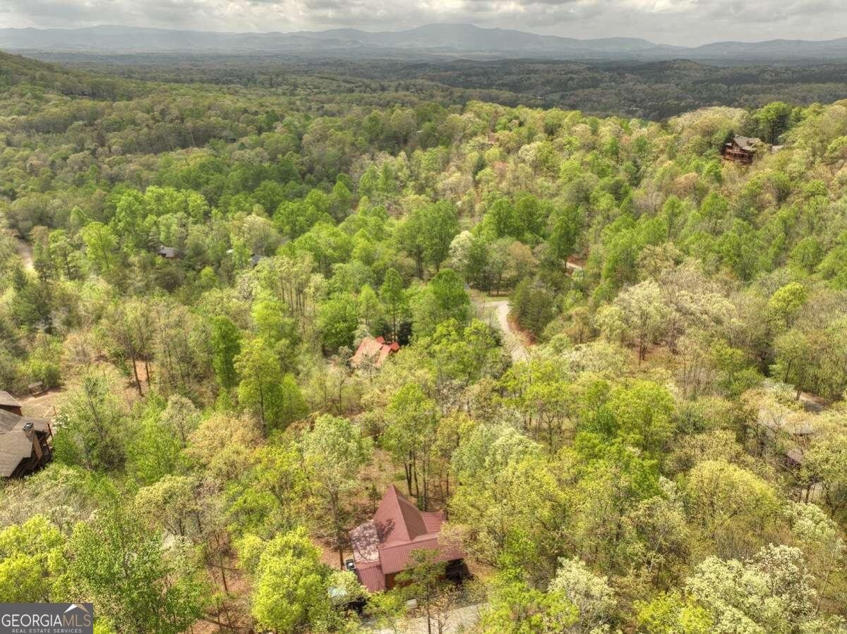 25 Stuart Highland Drive Mineral Bluff - 55
