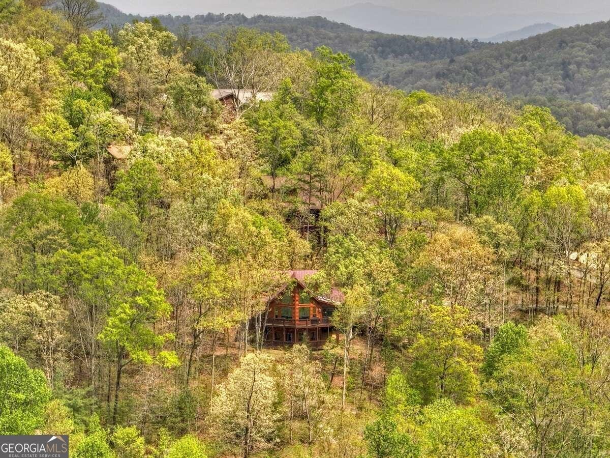25 Stuart Highland Drive Mineral Bluff - 56