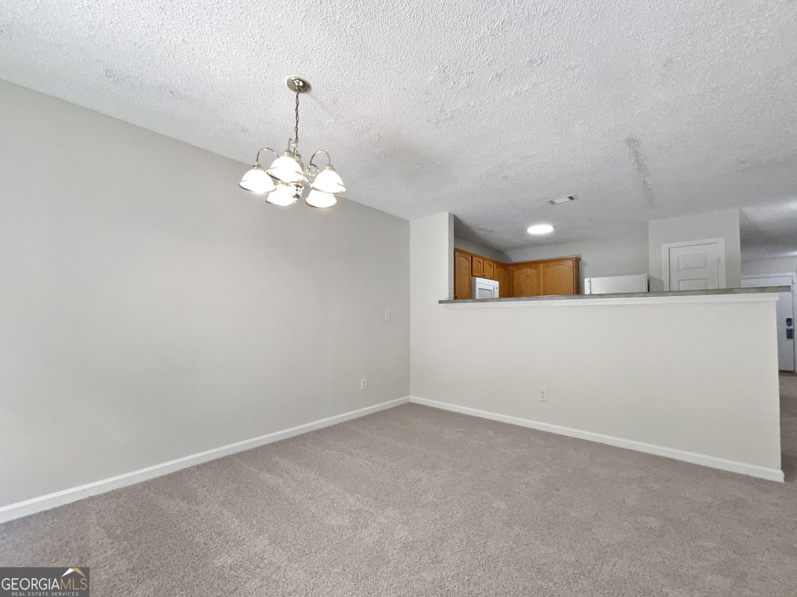 6338 Hickory Lane Circle Union City - 11
