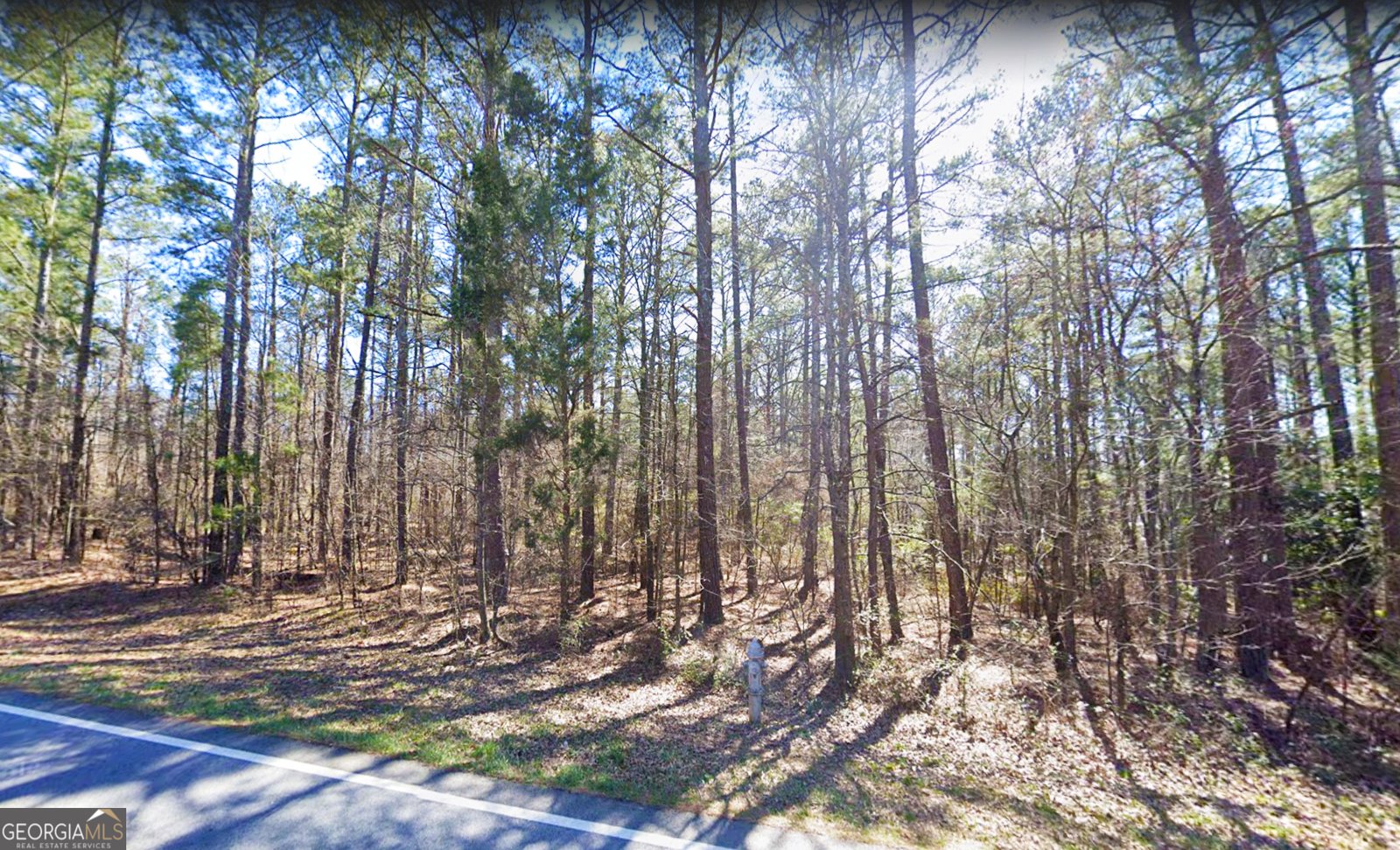 7606 Nebo Road Hiram - 2